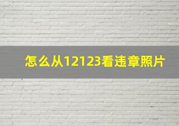 怎么从12123看违章照片