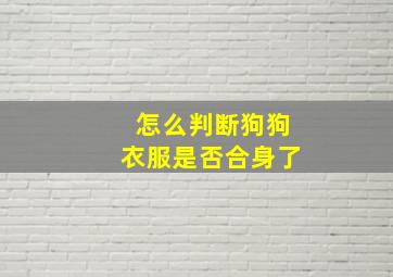 怎么判断狗狗衣服是否合身了