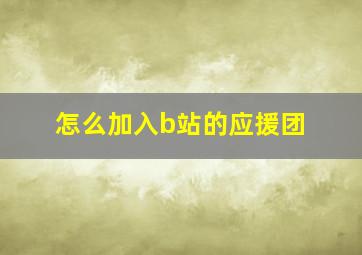 怎么加入b站的应援团