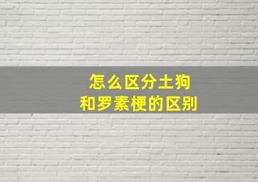 怎么区分土狗和罗素梗的区别