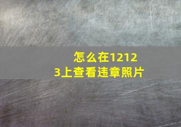 怎么在12123上查看违章照片