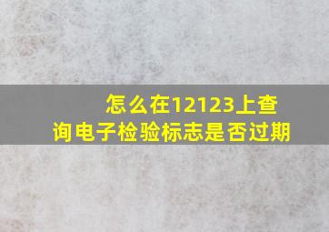 怎么在12123上查询电子检验标志是否过期