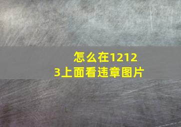 怎么在12123上面看违章图片