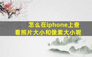 怎么在iphone上查看照片大小和像素大小呢