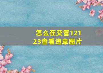 怎么在交管12123查看违章图片