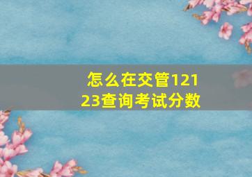 怎么在交管12123查询考试分数