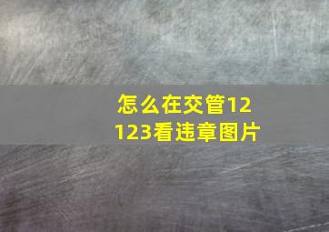 怎么在交管12123看违章图片