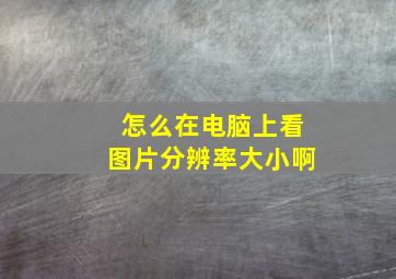 怎么在电脑上看图片分辨率大小啊