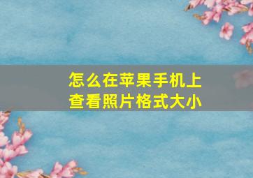 怎么在苹果手机上查看照片格式大小