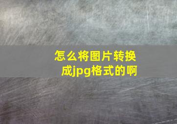 怎么将图片转换成jpg格式的啊