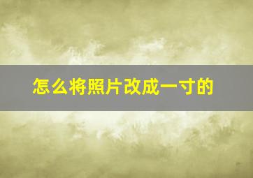 怎么将照片改成一寸的