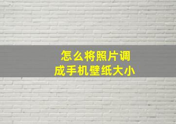 怎么将照片调成手机壁纸大小