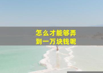 怎么才能够弄到一万块钱呢