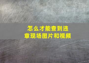 怎么才能查到违章现场图片和视频