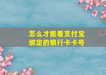 怎么才能看支付宝绑定的银行卡卡号