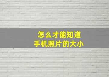 怎么才能知道手机照片的大小