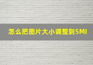 怎么把图片大小调整到5MI