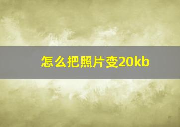 怎么把照片变20kb