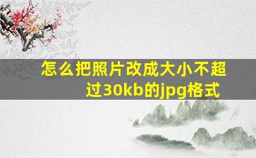 怎么把照片改成大小不超过30kb的jpg格式