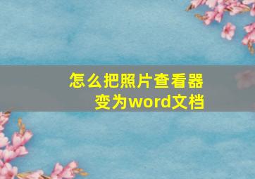 怎么把照片查看器变为word文档