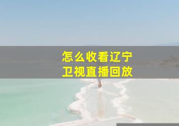 怎么收看辽宁卫视直播回放