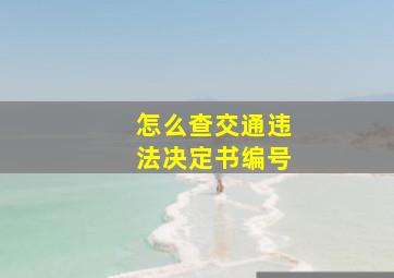 怎么查交通违法决定书编号