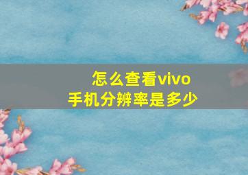 怎么查看vivo手机分辨率是多少