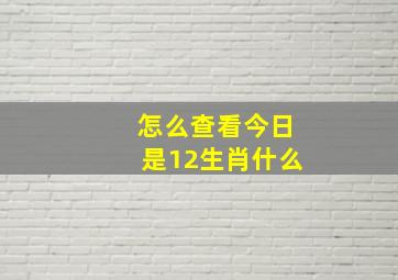 怎么查看今日是12生肖什么