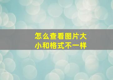 怎么查看图片大小和格式不一样