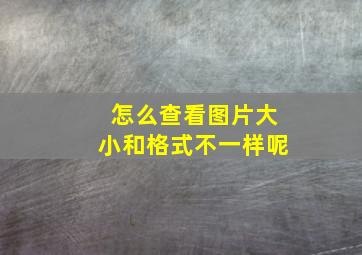 怎么查看图片大小和格式不一样呢