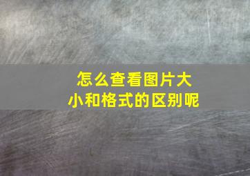 怎么查看图片大小和格式的区别呢