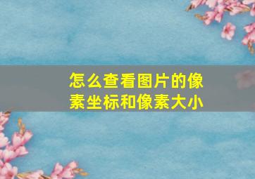 怎么查看图片的像素坐标和像素大小