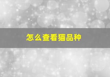 怎么查看猫品种