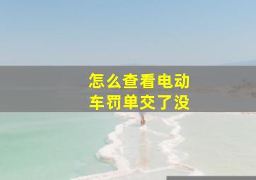 怎么查看电动车罚单交了没