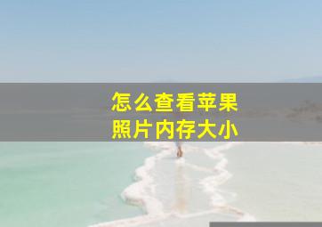 怎么查看苹果照片内存大小