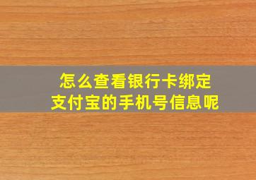 怎么查看银行卡绑定支付宝的手机号信息呢