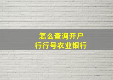 怎么查询开户行行号农业银行