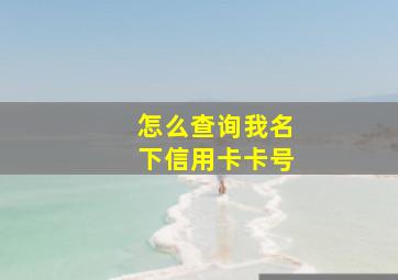 怎么查询我名下信用卡卡号