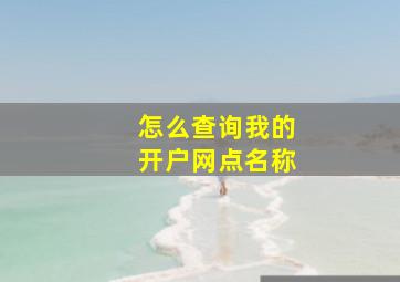 怎么查询我的开户网点名称