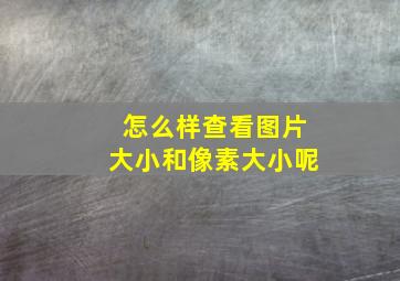 怎么样查看图片大小和像素大小呢