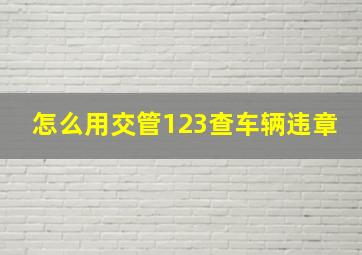 怎么用交管123查车辆违章