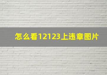 怎么看12123上违章图片