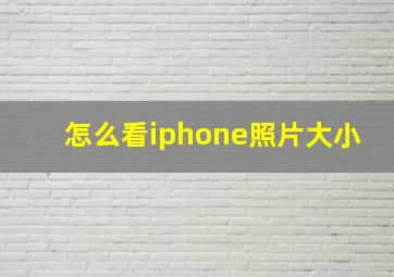 怎么看iphone照片大小