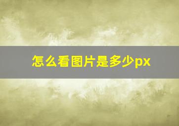 怎么看图片是多少px