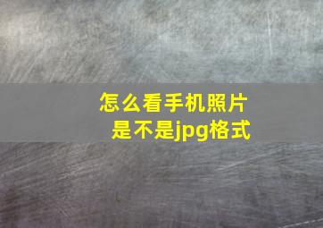 怎么看手机照片是不是jpg格式