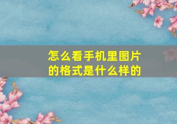 怎么看手机里图片的格式是什么样的