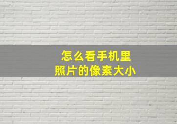 怎么看手机里照片的像素大小