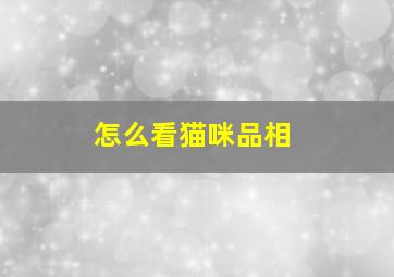 怎么看猫咪品相