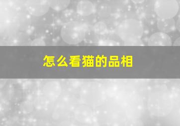 怎么看猫的品相