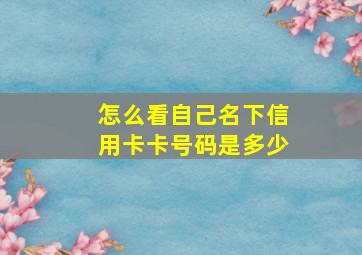 怎么看自己名下信用卡卡号码是多少